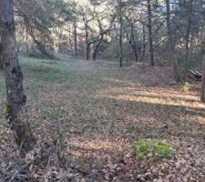 Terrain quasiment plat pour accueillir le studio de musique en bois