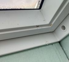 Velux endomag&eacute;