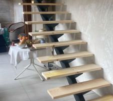 Installation limon de l?escalier apr&egrave;s peinture, pose &agrave; blanc des marches