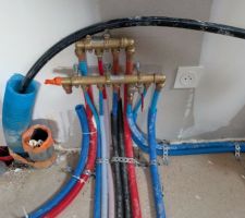 Nourrisse dans le cellier derri&egrave;re la PAC