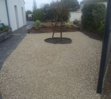 &ccedil;a y est j'ai termin&eacute; ce matin la petite place sous le nectarinier