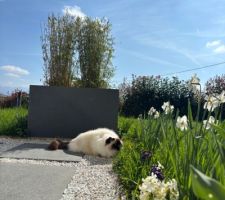 Un air de printemps...