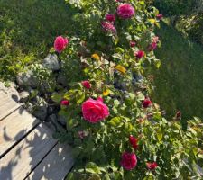 Les beaux jours