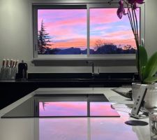 Natural piece of art.