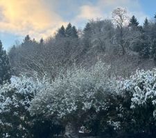 Premi&egrave;res neiges 2026