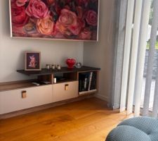 Pan de mur TV partie 1