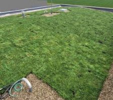 Toiture v&eacute;g&eacute;talis&eacute;e