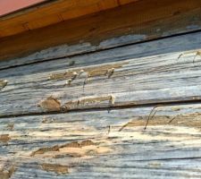 La lazure de la cabane de la piscine