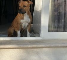 Le gardien prend sa mission tr&eacute;s a coeur