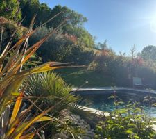 Lumi&egrave;res du soir plein sud