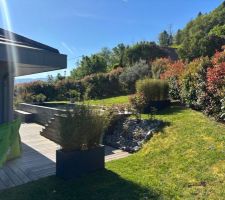 Les haies nous isolent enfin aussi sur la face Ouest. 6 ans plus tard. Il faut &ecirc;tre patient avec la nature ! Pourtant nous les avions pris d&eacute;j&agrave; &agrave; 1.20 m&egrave;tres.