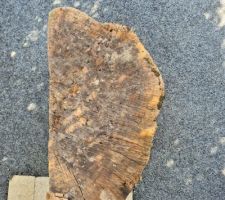 Pr&eacute;paration de la nouvelle fontaine