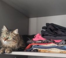 L'autre utilité d'un dressing...