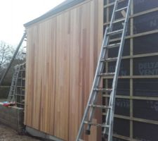 Red cedar