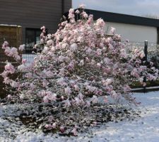Le lendemain, 26 mars, surprise : la neige !