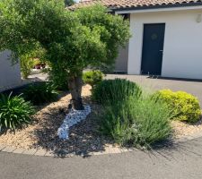 &Eacute;volution du jardin