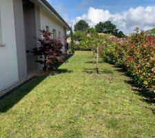 &Eacute;volution du jardin