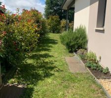 &Eacute;volution du jardin
