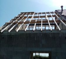 Encadrement velux cot&eacute; jardin .