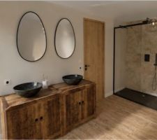 Salle d'eau chat gpt, vue des &Atilde;?&Acirc;&copy;viers et de la douche .