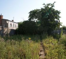 Du fond du jardin  vers la maison