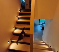 Cage d'escalier termin&eacute;e