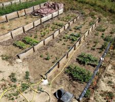 Plantations en tout genre ! - CC-BY-NC-SA