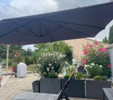 De nouveaux bacs et plantations sur la terrasse