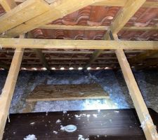 Ventilateur plafond