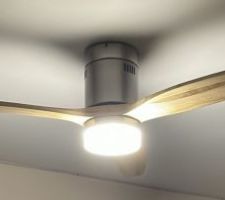 Ventilateur plafond