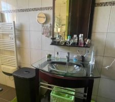 Salle de bain AVANT