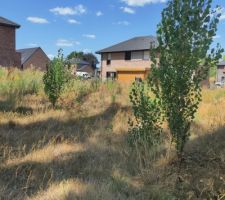 La nature reprend ses droits