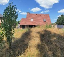 La nature reprend ses droits