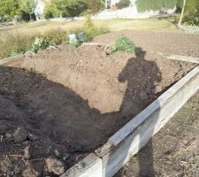 En avance sur les travaux au potager  canicule en cause
