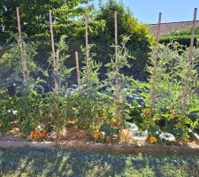 Potager