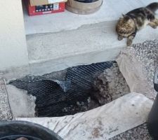 Piquage sur le drain c&ocirc;t&eacute; garage, heureusement j'ai de l'aide