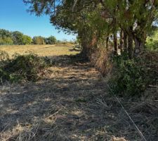 D&eacute;broussalliage des limites