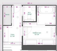 SDB 1er version autre weet room