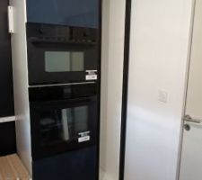 R&eacute;ception de l'&eacute;lectrom&eacute;nager