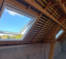 Velux GPU Everfinish