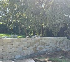 Bi muro birkenmeir