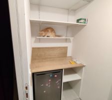 Test de r&eacute;sistance des &eacute;tag&egrave;res de l'arri&egrave;re cuisine