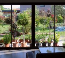 Au salon pas de rideau, mais des pots de boutures bien bichonn&eacute;s