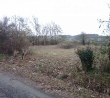 Future entr&eacute;e