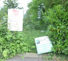 Entr&eacute;e all&eacute;e cot&eacute; rue