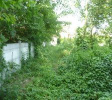 Vue de l'all&eacute;e