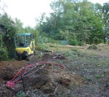 Vue ouest-est apr&egrave;s nettoyage