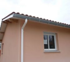 Goutti&egrave;res zinc et descente PVC
