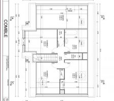 Alors là du changement les toilettes et salle de bain ne sont plus là, toilettes déplacées avec ouverture là ou il y a actuelement la baignoire du coup salle de bain décalée vers chambre ce qui permet de laisser le couloir pour aménager le dessus du garage dèq qu'on aura gagné au loto