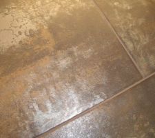 Carrelage salle de bain (parentale)